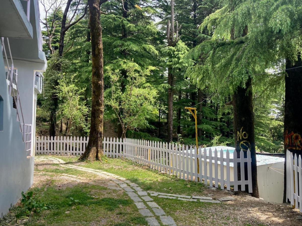 Himtrek Stays,Mcleodganj McLeod Ganj Exterior foto