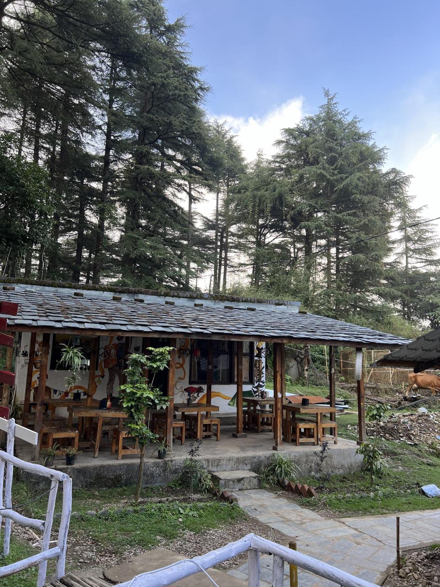 Himtrek Stays,Mcleodganj McLeod Ganj Exterior foto