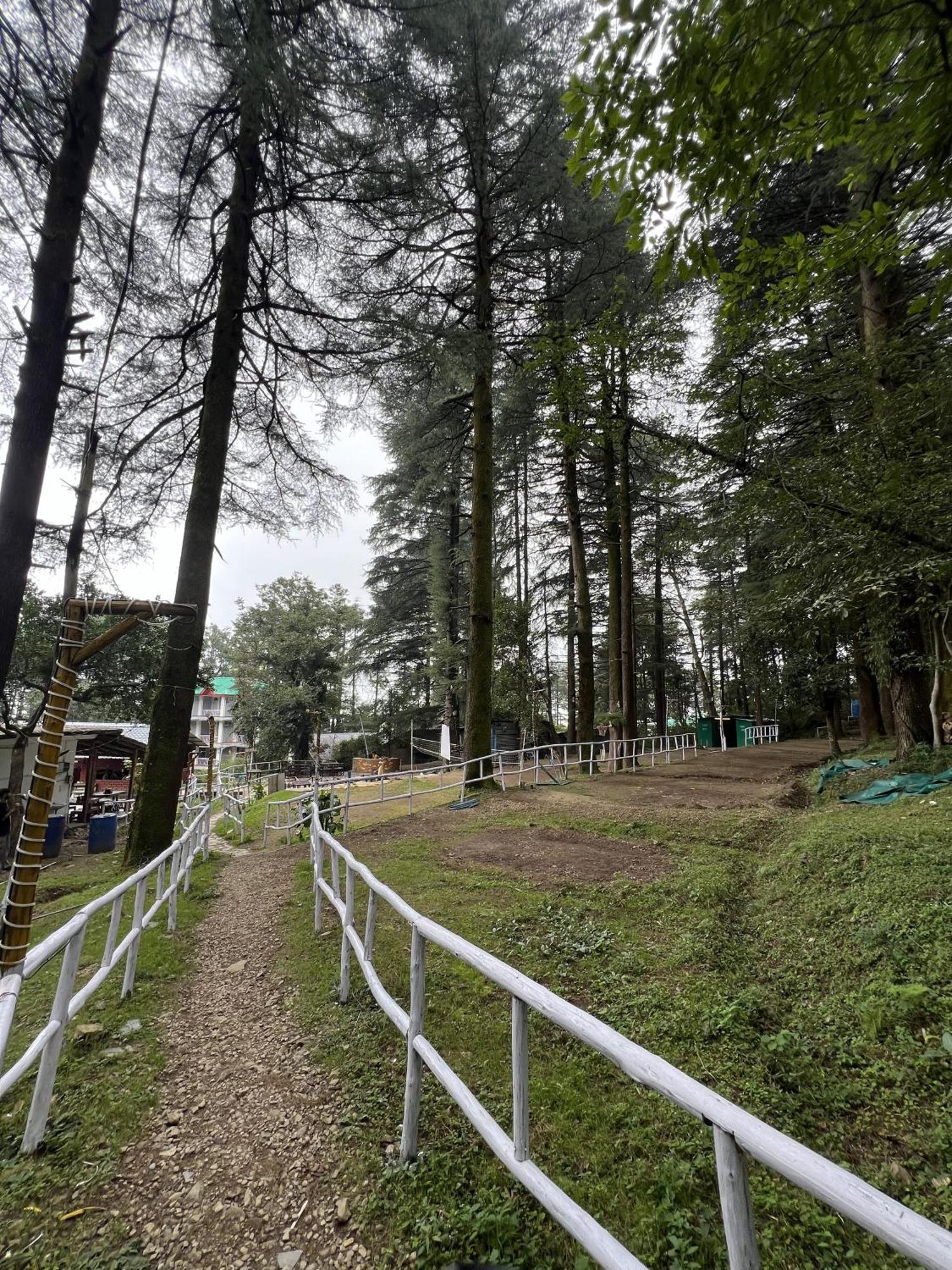 Himtrek Stays,Mcleodganj McLeod Ganj Exterior foto