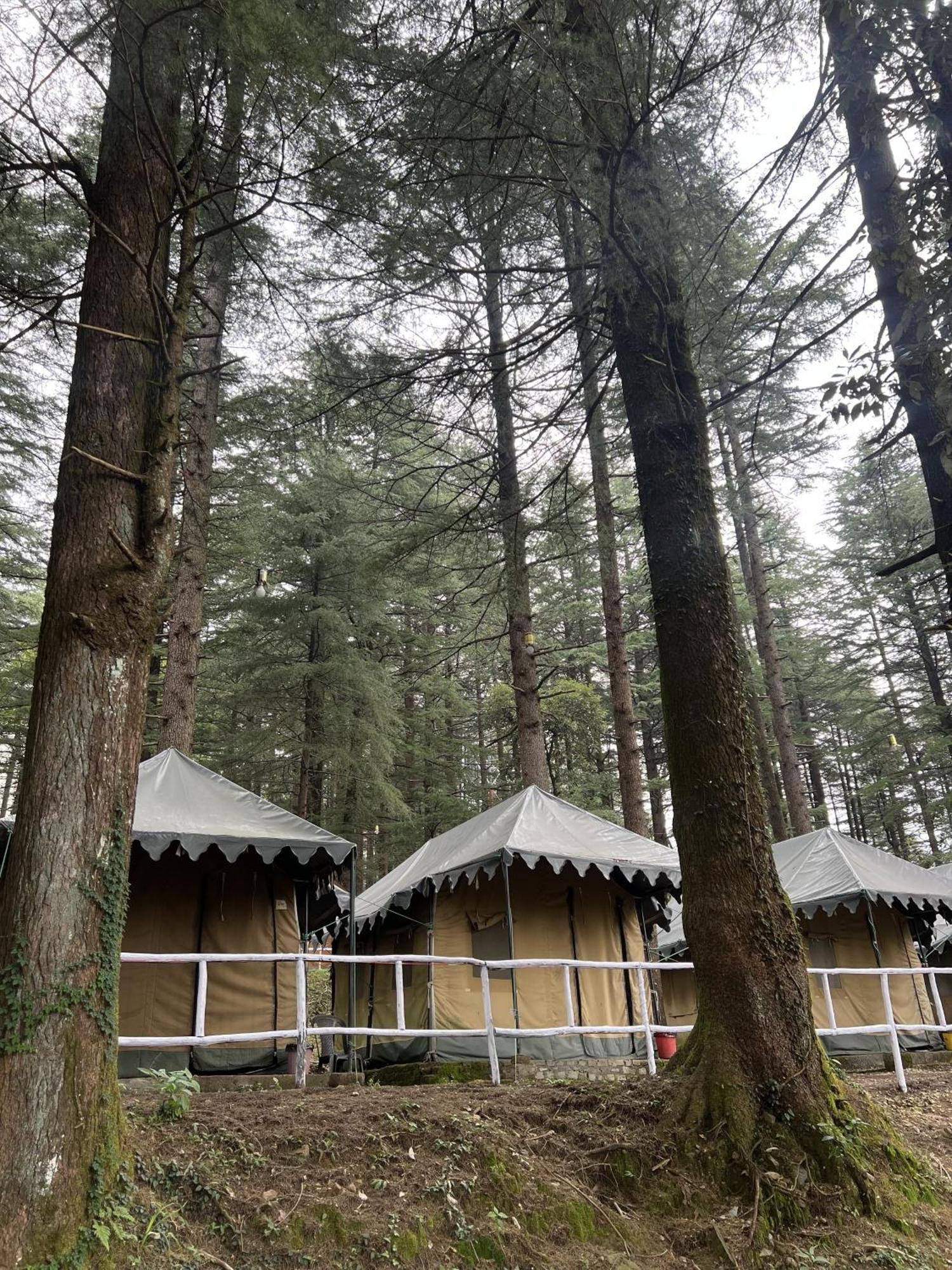Himtrek Stays,Mcleodganj McLeod Ganj Exterior foto