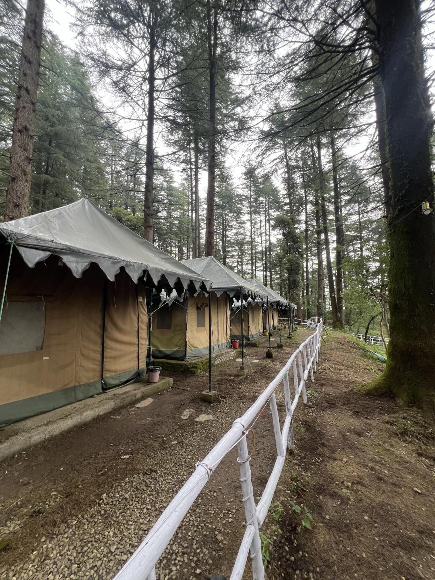 Himtrek Stays,Mcleodganj McLeod Ganj Exterior foto