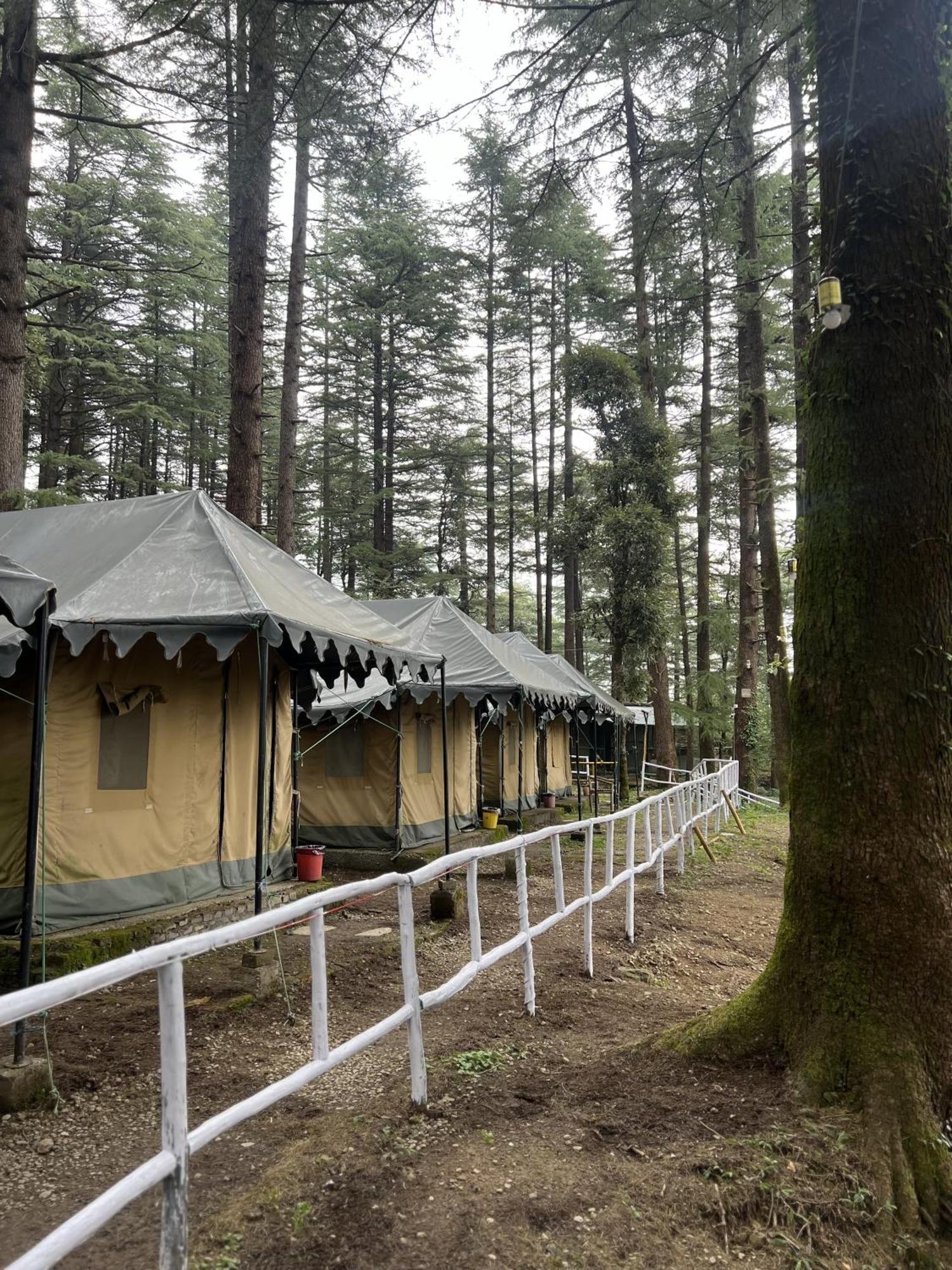 Himtrek Stays,Mcleodganj McLeod Ganj Exterior foto